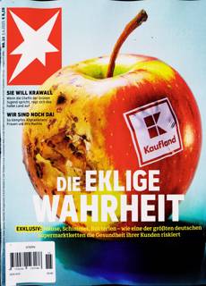 Stern Magazine Issue NO 15