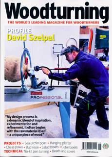 Woodturning Magazine Issue NO 408
