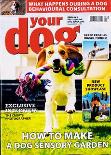 Your Dog Magazine Issue AUG 25