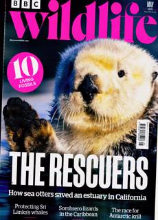 Bbc Wildlife Magazine Issue MAY 25