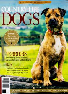 Signature Collection Magazine Issue NO 38