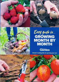 Easy Guides To Magazine Issue NO 7