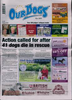 Our Dogs Magazine Issue 20/06/2025
