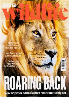 Bbc Wildlife Magazine Issue JUL 25
