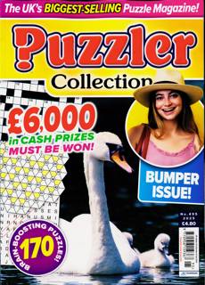Puzzler Collection Magazine Issue NO 495