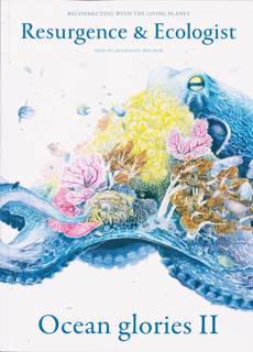 Resurgence And Ecologist Magazine Issue JUL-AUG