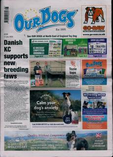 Our Dogs Magazine Issue 11/07/2025