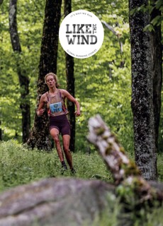 Like The Wind Magazine Issue Issue 46