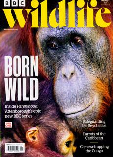 Bbc Wildlife Magazine Issue AUG 25