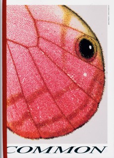 Common Language Magazine Issue NO12