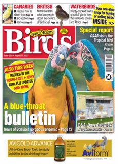 Cage And Aviary Birds Magazine Issue 20/08/2025