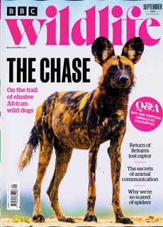 Bbc Wildlife Magazine Issue SEP 25