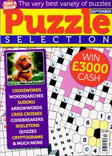 Take A Break Puzzle Selection Magazine Issue NO 10