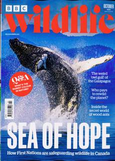 Bbc Wildlife Magazine Issue OCT 25