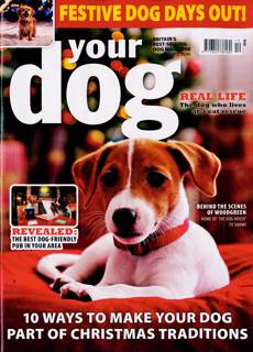 Your Dog Magazine Issue DEC 25