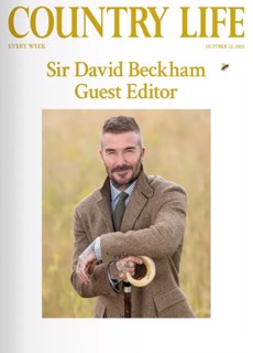 Country Life - Guest Edited By Sir David Beckham Magazine Issue 22/10/2025