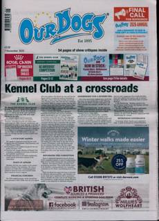 Our Dogs Magazine Issue 07/11/2025