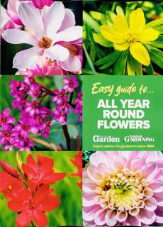 Easy Guides To Magazine Issue NO 9