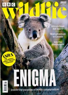 Bbc Wildlife Magazine Issue JAN 26