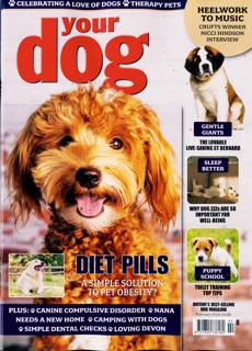 Your Dog Magazine Issue FEB 26