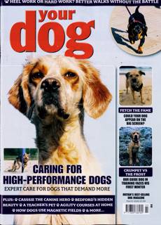 Your Dog Magazine Issue MAR 26