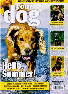 Your Dog Magazine Issue MAY 26