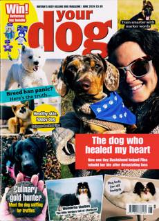 Your Dog Magazine Issue JUN 26