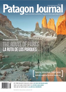 Patagon Journal Magazine Issue Issue 31