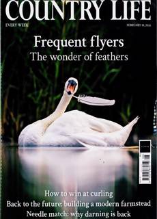 Country Life Magazine Issue 18/02/2026