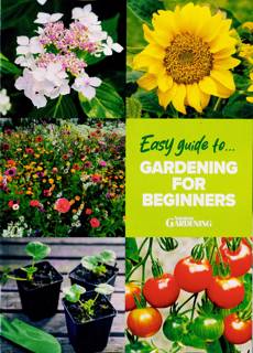 Easy Guides To Magazine Issue NO 11