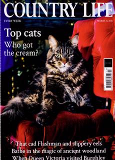 Country Life Magazine Issue 25/03/2026