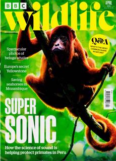 Bbc Wildlife Magazine Issue APR 26