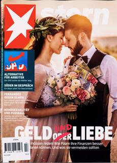 Stern Magazine Issue NO 13