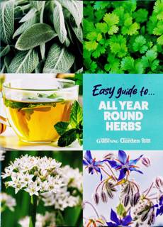 Easy Guides To Magazine Issue NO 13