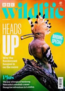 Bbc Wildlife Magazine Issue JUL 26