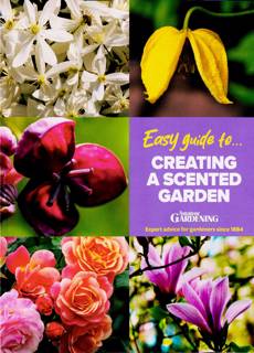 Easy Guides To Magazine Issue NO 14