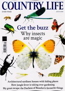 Country Life Magazine Issue 29/07/2026