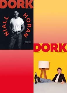 Dork Bundle July - Niall 2026 + Niall 2023 Yellow Magazine Issue Niall26+23