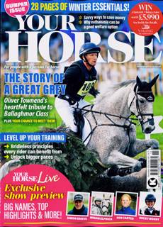 Your Horse Magazine Issue NOV 26