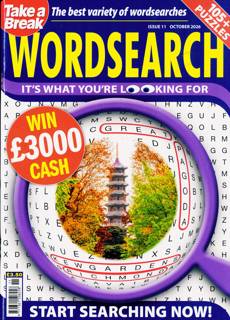 Take a Break Wordsearch Magazine Issue NO 11