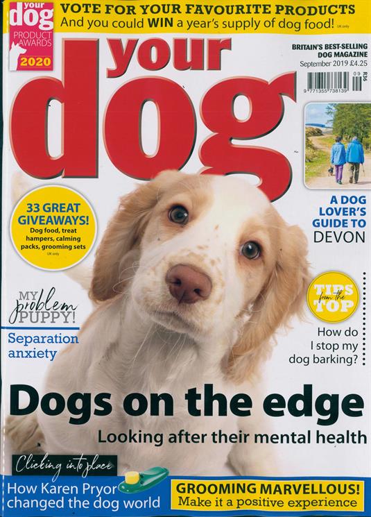 Your Dog Magazine Subscription | Buy at Newsstand.co.uk | Dogs