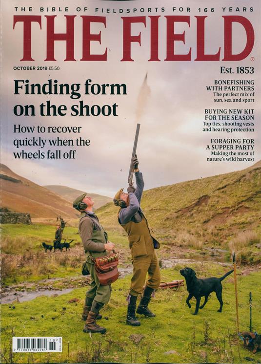 Field Magazine Subscription Buy at Newsstand.co.uk Countryside