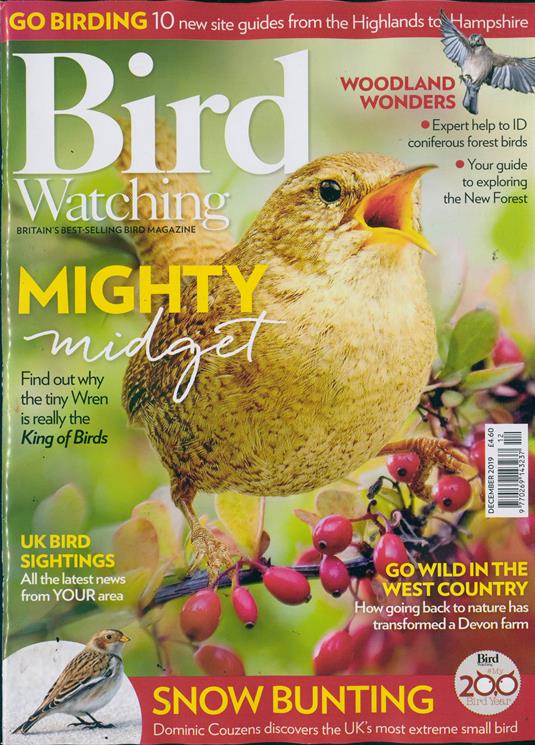 Bird Watching Magazine Subscription Buy at Newsstand.co.uk Birds