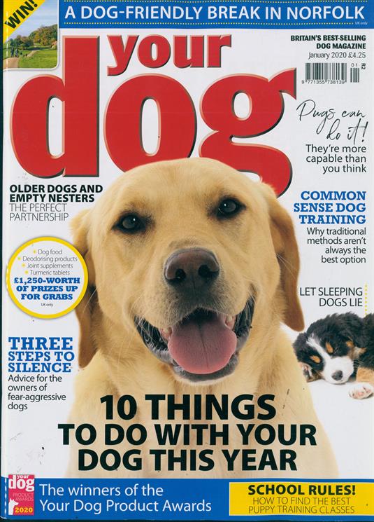 Your Dog Magazine Subscription Buy at Newsstand.co.uk Dogs