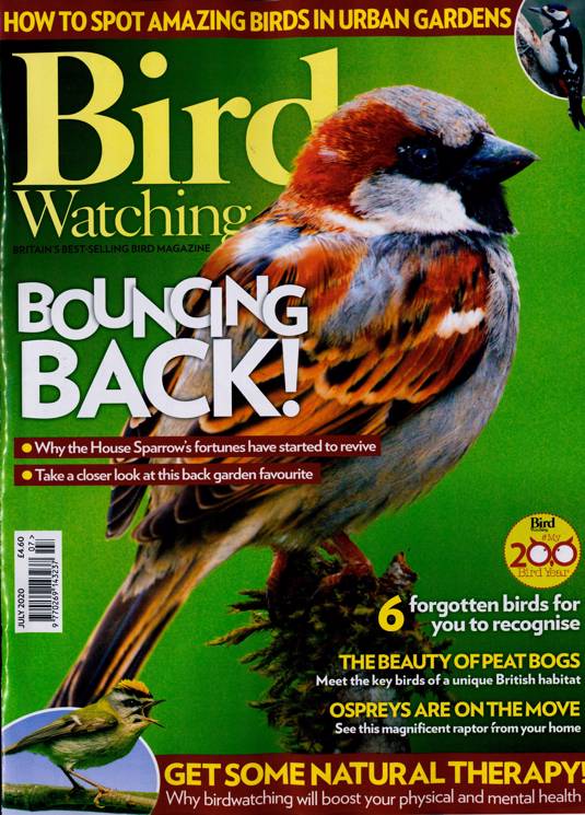Bird Watching Magazine Subscription Buy at Newsstand.co.uk Birds