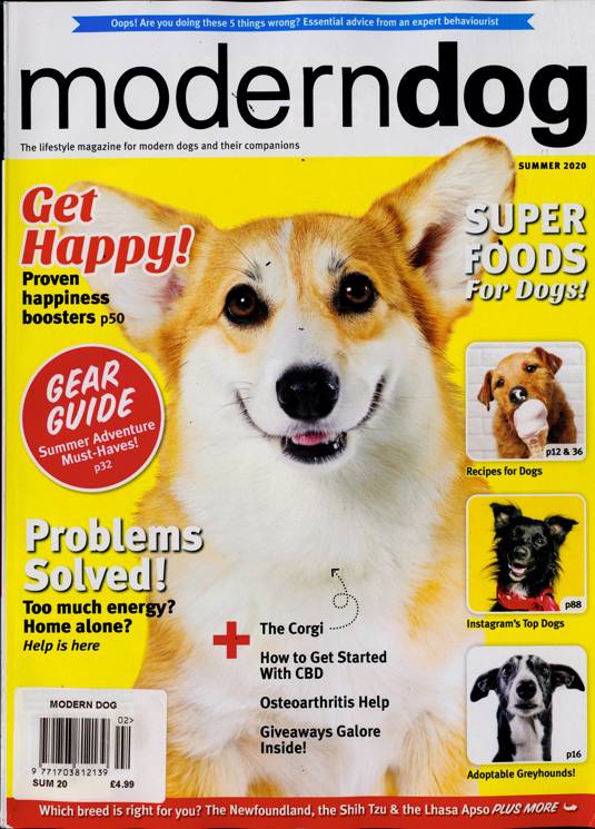 Modern Dog Magazine Subscription Buy at Newsstand.co.uk Dogs