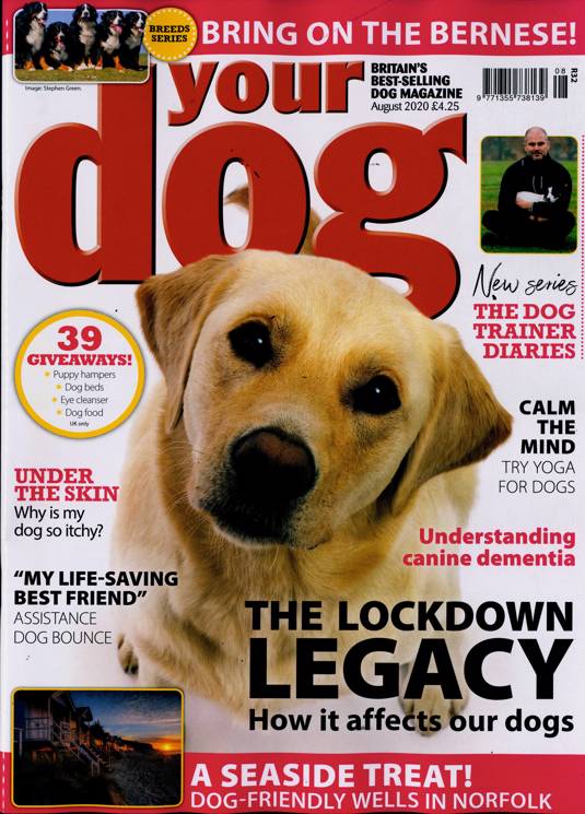 Your Dog Magazine Subscription Buy at Newsstand.co.uk Dogs