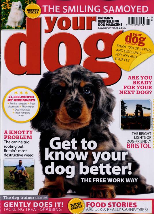 Your Dog Magazine Subscription Buy at Newsstand.co.uk Dogs