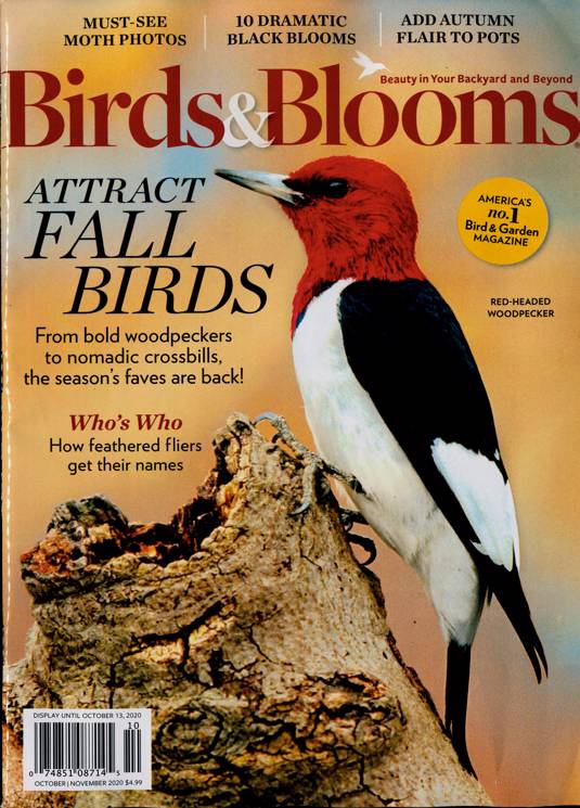 Birds And Blooms Magazine Subscription Buy at Newsstand.co.uk US