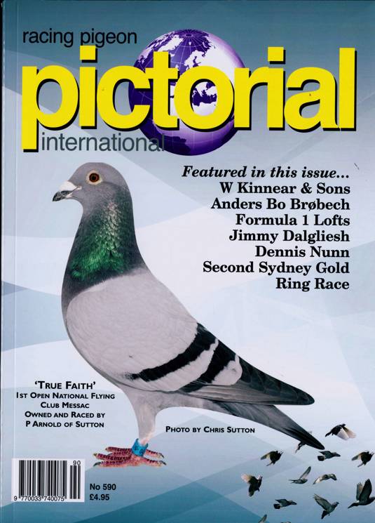 Racing Pigeon Pictorial Magazine Subscription Buy at Newsstand.co.uk